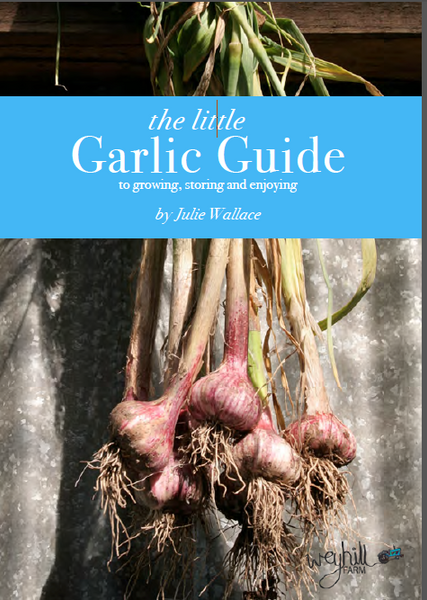 The Little Garlic Guide