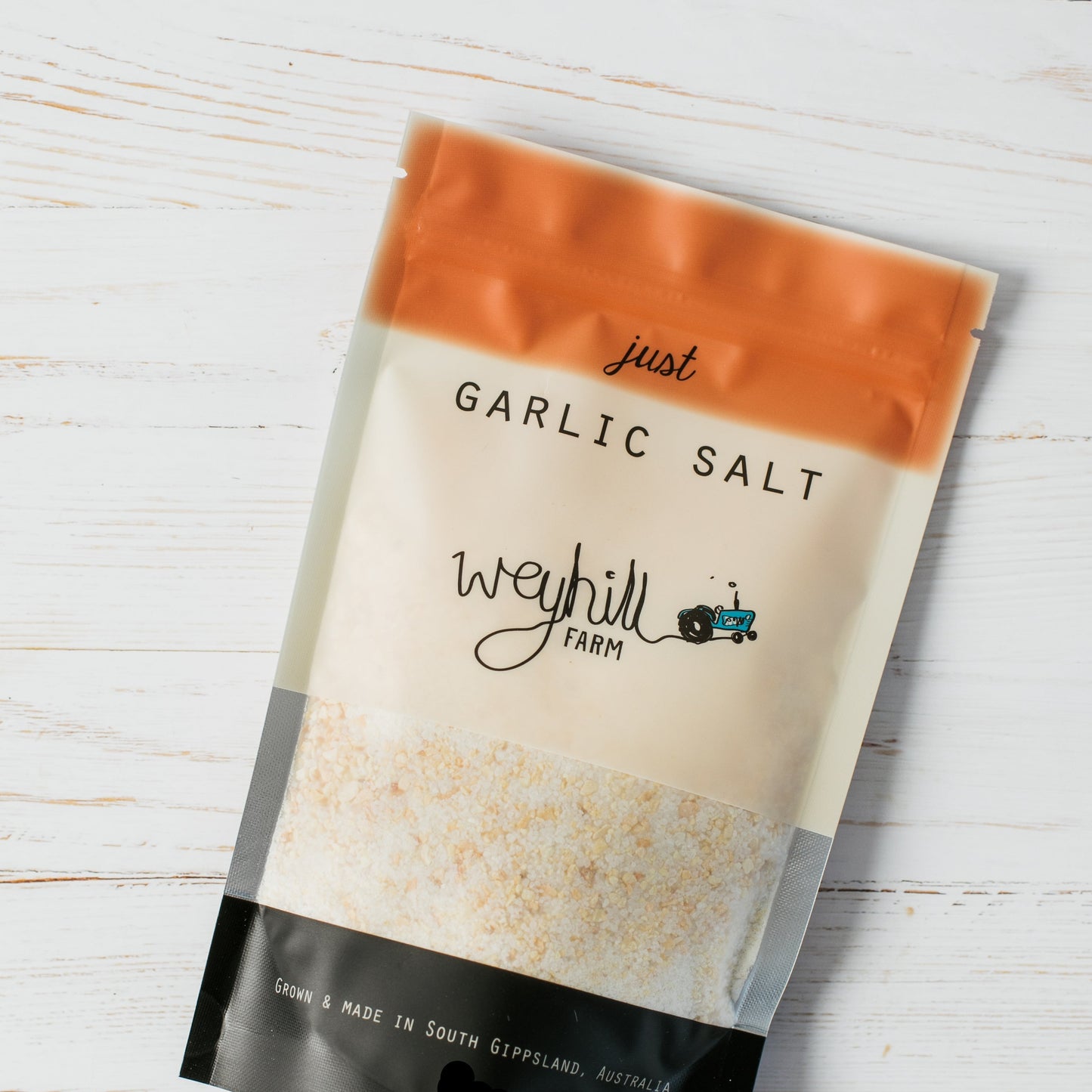 Just Garlic Salt 170g